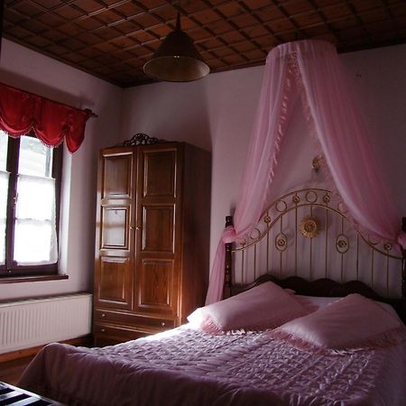 Hotel Mansion Theodora Makrinítsa Zewnętrze zdjęcie