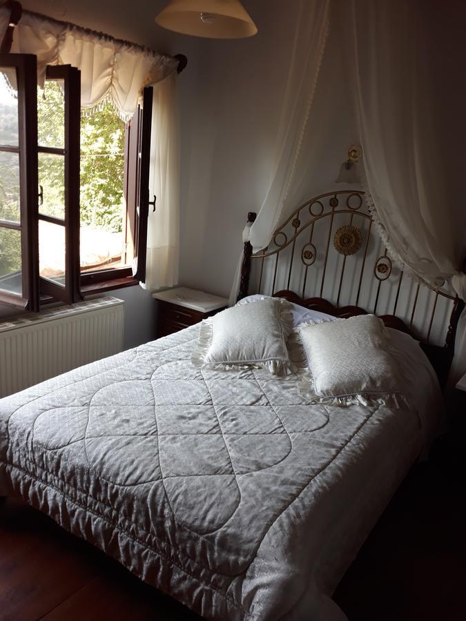 Hotel Mansion Theodora Makrinítsa Zewnętrze zdjęcie